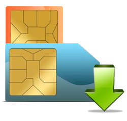 SIM Card